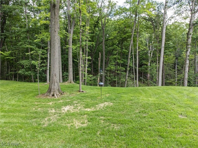 389 Bentleyville Rd, Moreland Hills, OH 44022 - view of green lawn with a wooded view