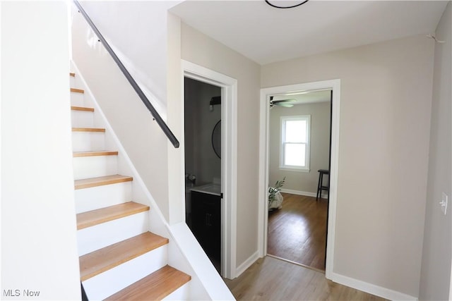 6715 Paxton Rd, Boardman, OH 44512 - photo 25