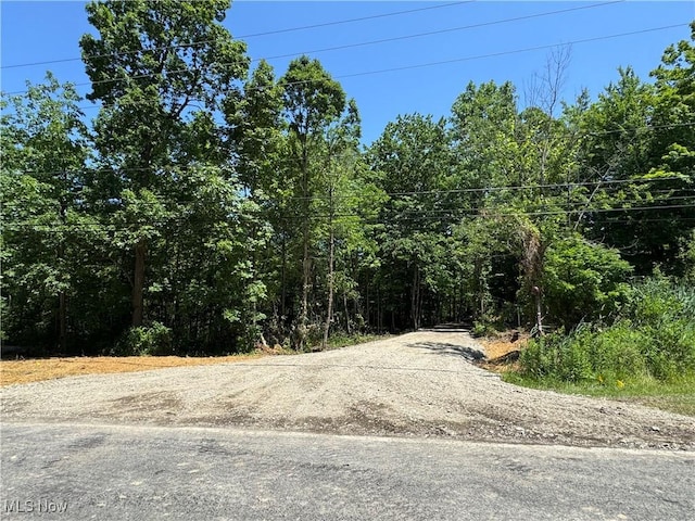 V/L2 Wood Rd, Madison, OH 44057 - photo 2