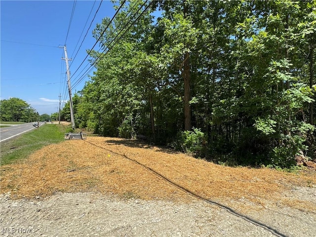 V/L2 Wood Rd, Madison, OH 44057 - photo 4