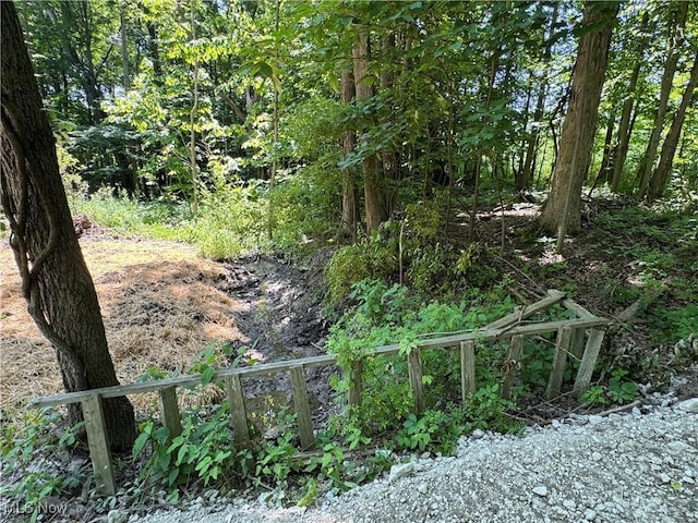 V/L2 Wood Rd, Madison, OH 44057 - photo 5