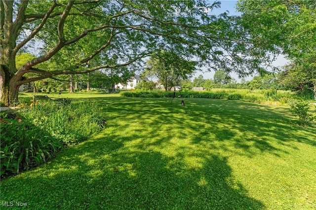 82 Pyle Rd, Oberlin, OH 44074 - view of grassy yard