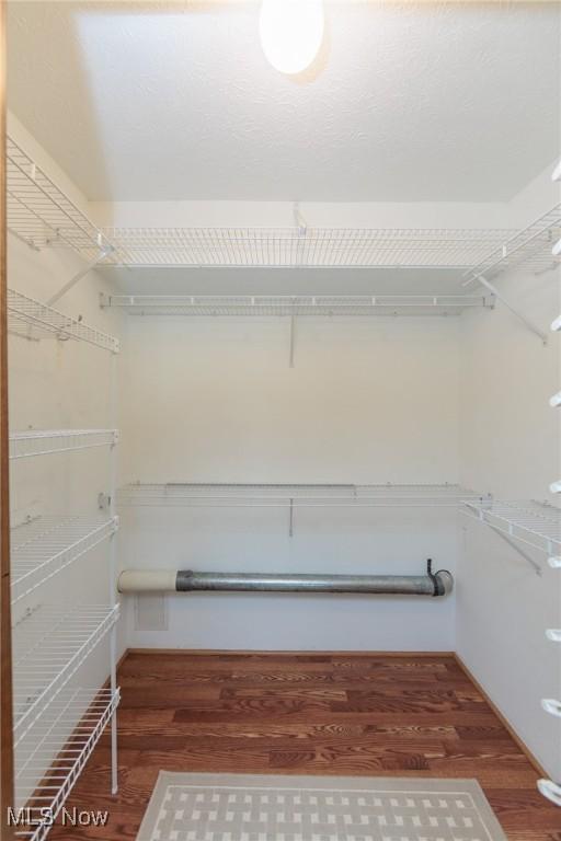 373 Chesapeake Cv, Painesville, OH 44077 - walk in closet with wood finished floors