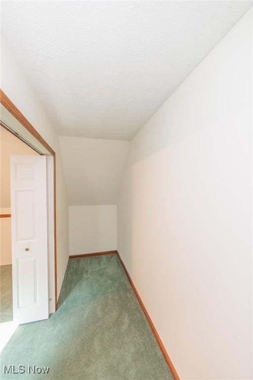 373 Chesapeake Cv, Painesville, OH 44077 - bonus room with carpet flooring and vaulted ceiling