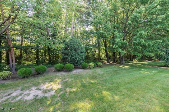 373 Chesapeake Cv, Painesville, OH 44077 - view of grassy yard