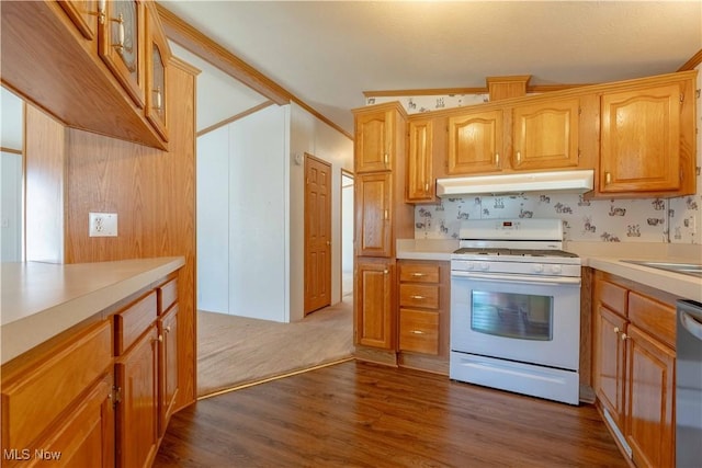 18592 Edwards Rd Unit 1, Doylestown, OH 44230 - kitchen with gas range gas stove, under cabinet range hood, light countertops, dark wood-type flooring, and stainless steel dishwasher