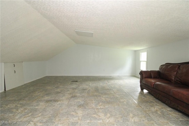 3316 S Canfield Niles Rd, Canfield, OH 44406 - living room featuring a textured ceiling, vaulted ceiling, and stone finish flooring