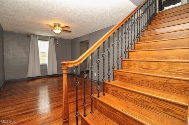 3316 S Canfield Niles Rd, Canfield, OH 44406 - stairway with wood finished floors, a ceiling fan, and a textured ceiling