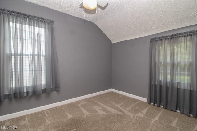 3316 S Canfield Niles Rd, Canfield, OH 44406 - additional living space featuring a textured ceiling, carpet, plenty of natural light, vaulted ceiling, and ceiling fan