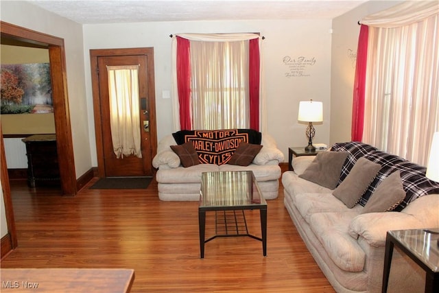 195 W 10th St, Salem, OH 44460 - living area with wood finished floors