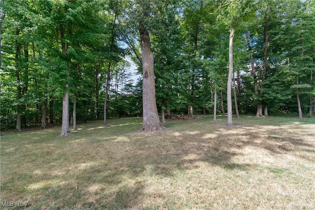 7319 Montella Ave NW, Canal Fulton, OH 44614 - view of green lawn