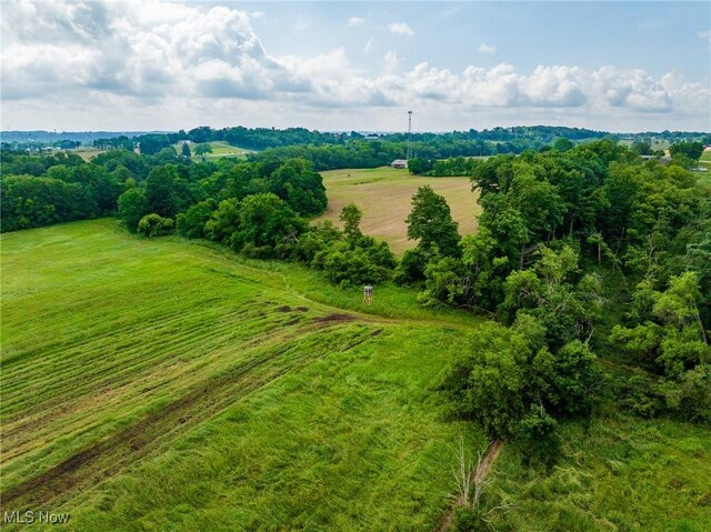 Heyl Rd, Wooster, OH 44691 - photo 37