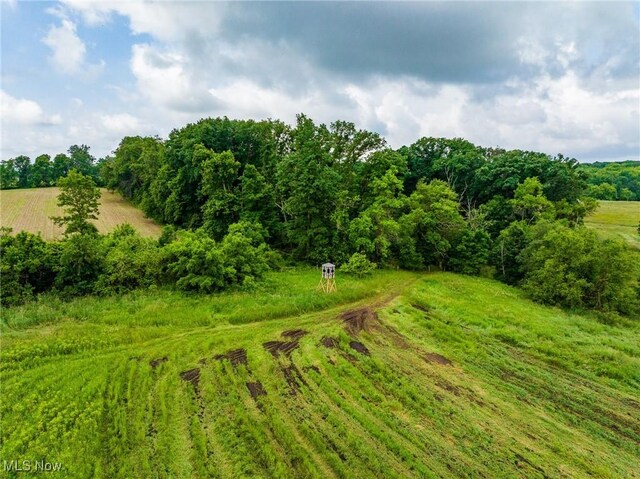 Heyl Rd, Wooster, OH 44691 - photo 38