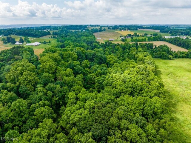 Heyl Rd, Wooster, OH 44691 - photo 39