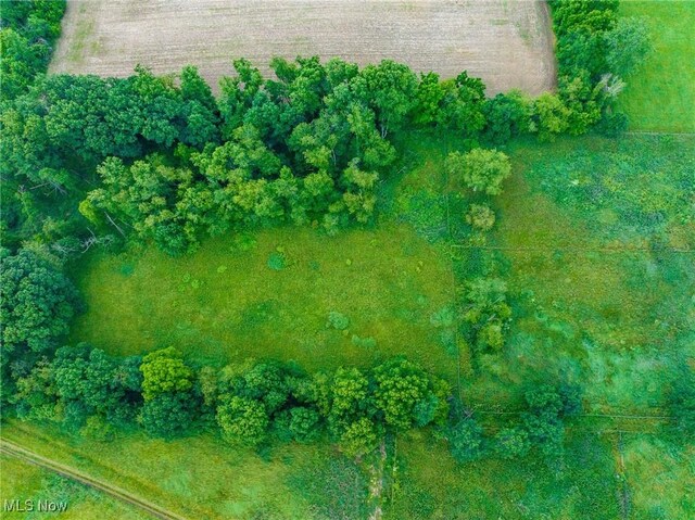 Heyl Rd, Wooster, OH 44691 - photo 40