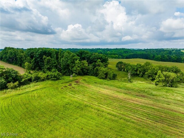 Heyl Rd, Wooster, OH 44691 - photo 29