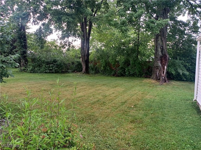 130 Fairground Blvd, Canfield, OH 44406 - view of grassy yard
