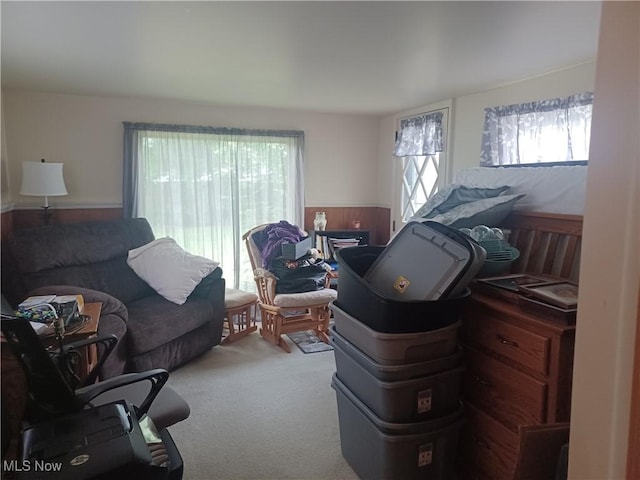 130 Fairground Blvd, Canfield, OH 44406 - living area with wainscoting and carpet flooring