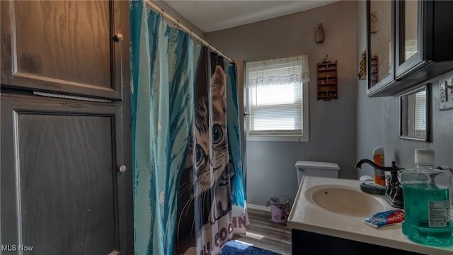 217 Mclaughlin Ave, Byesville, OH 43723 - bathroom with vanity, a shower with curtain, and wood finished floors