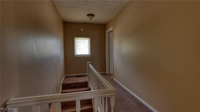 217 Mclaughlin Ave, Byesville, OH 43723 - stairway with carpet and a textured ceiling