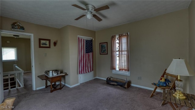 217 Mclaughlin Ave, Byesville, OH 43723 - living area with a ceiling fan and carpet flooring