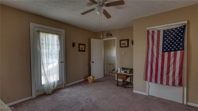 217 Mclaughlin Ave, Byesville, OH 43723 - foyer entrance with carpet floors and a ceiling fan