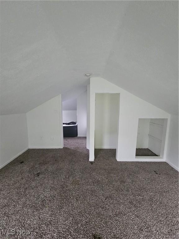 5860 Kirk Rd, Canfield, OH 44406 - additional living space with vaulted ceiling and carpet floors