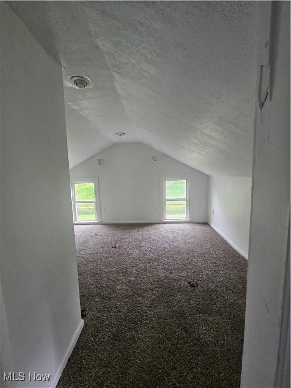 5860 Kirk Rd, Canfield, OH 44406 - additional living space featuring vaulted ceiling, carpet floors, healthy amount of natural light, and a textured ceiling