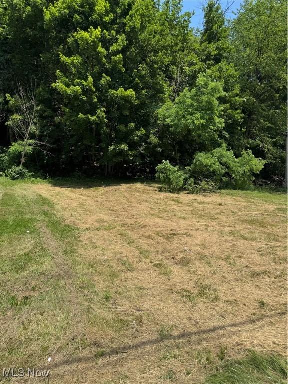 723 Lincoln Ave, Steubenville, OH 43952 - photo 1