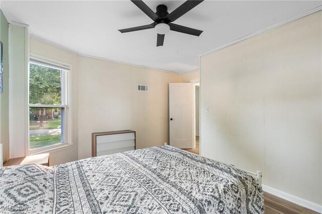 554 N Buckeye St, Wooster, OH 44691 - photo 15