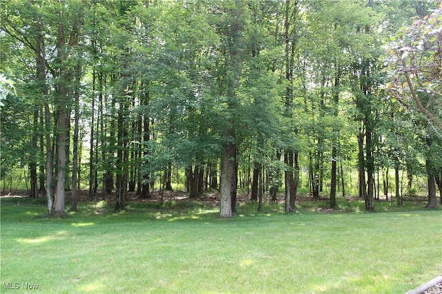 9 Hunters Woods Blvd Unit B, Canfield, OH 44406 - view of grassy yard