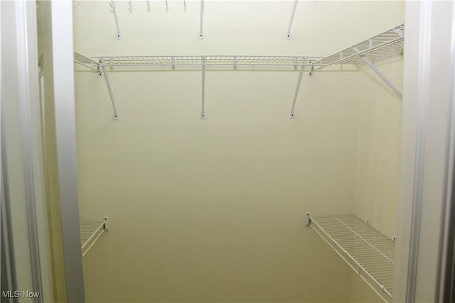 9 Hunters Woods Blvd Unit B, Canfield, OH 44406 - view of walk in closet