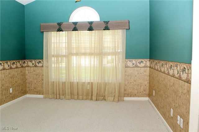 9 Hunters Woods Blvd Unit B, Canfield, OH 44406 - carpeted spare room featuring wainscoting