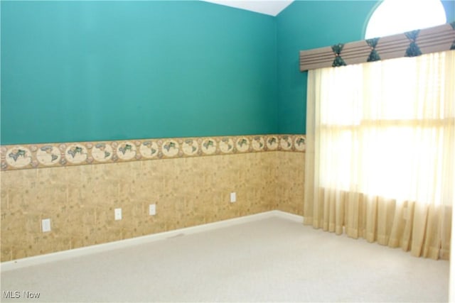 9 Hunters Woods Blvd Unit B, Canfield, OH 44406 - carpeted spare room featuring lofted ceiling and wainscoting