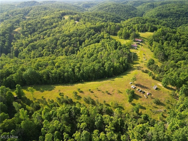498 Little Queen Rd, Wv, WV 25045 - photo 2