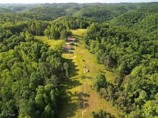 498 Little Queen Rd, Wv, WV 25045 - photo 19