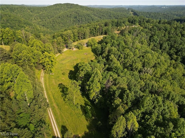 498 Little Queen Rd, Wv, WV 25045 - photo 21
