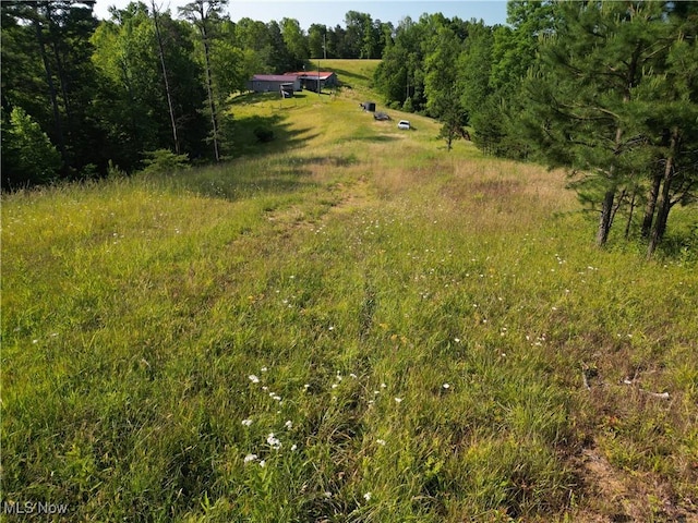 498 Little Queen Rd, Wv, WV 25045 - photo 22