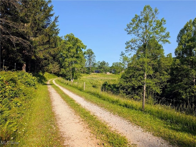 498 Little Queen Rd, Wv, WV 25045 - photo 25