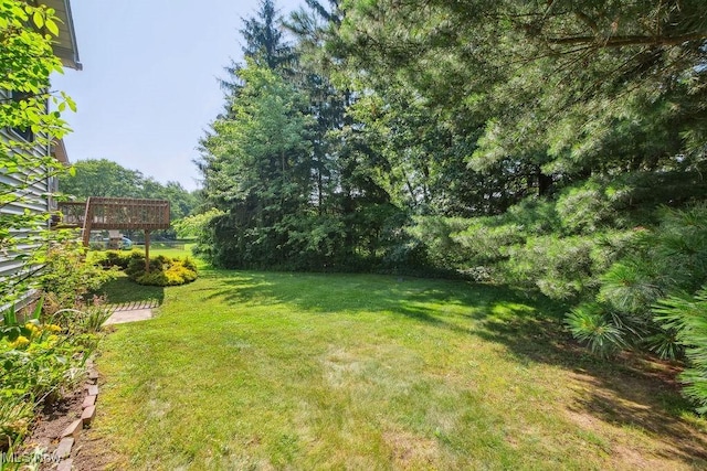 215 Bailey Ct, Doylestown, OH 44230 - view of green lawn