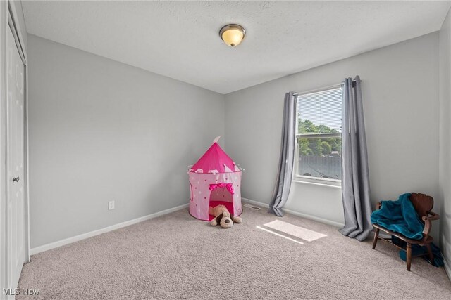 2029 Buchtel St, Twinsburg, OH 44087 - photo 19