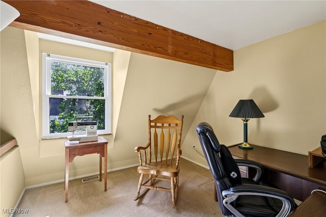 8080 Harbor Crk Unit 503, Mentor On The Lake, OH 44060 - carpeted home office featuring baseboards