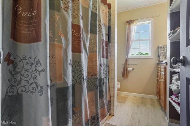 13774 Smith Goshen Rd, Beloit, OH 44609 - bathroom featuring wood finished floors, ornamental molding, and vanity