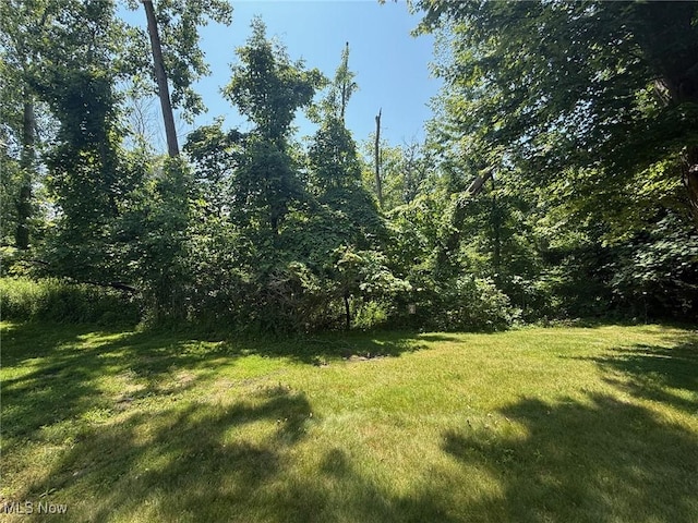 8080 Harbor Creek Dr Unit 904, Mentor On The Lake, OH 44060 - photo 24