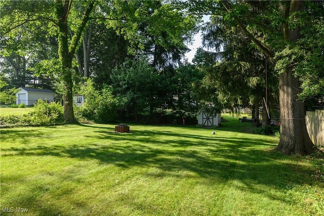 1819 49th St NW, Canton, OH 44709 - view of grassy yard with a storage shed and view of wooded area