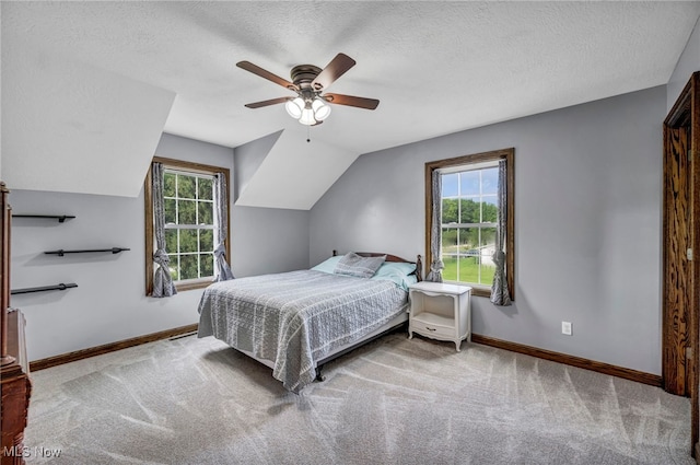 5113 Boughner Rd, Rock Creek, OH 44084 - photo 23