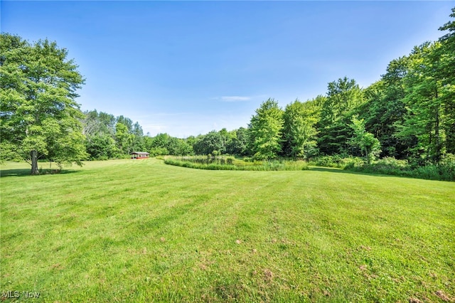 5113 Boughner Rd, Rock Creek, OH 44084 - photo 41