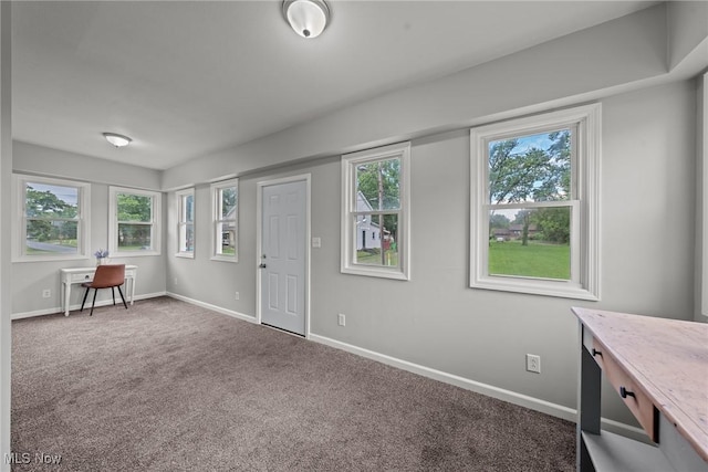 1014 Noble St E, Alliance, OH 44601 - carpeted entrance foyer with healthy amount of natural light