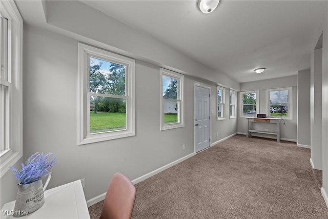 1014 Noble St E, Alliance, OH 44601 - entrance foyer featuring carpet flooring and baseboards