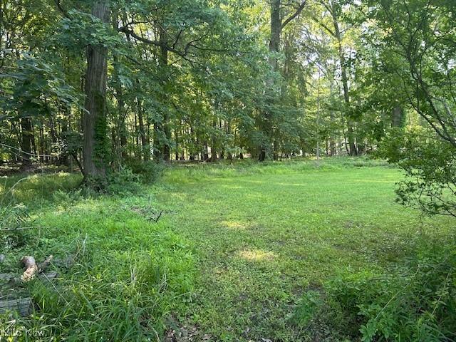 175 Curtis Dr, Avon Lake, OH 44012 - view of yard featuring a wooded view
